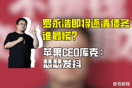 雄安新区融资清欠服务